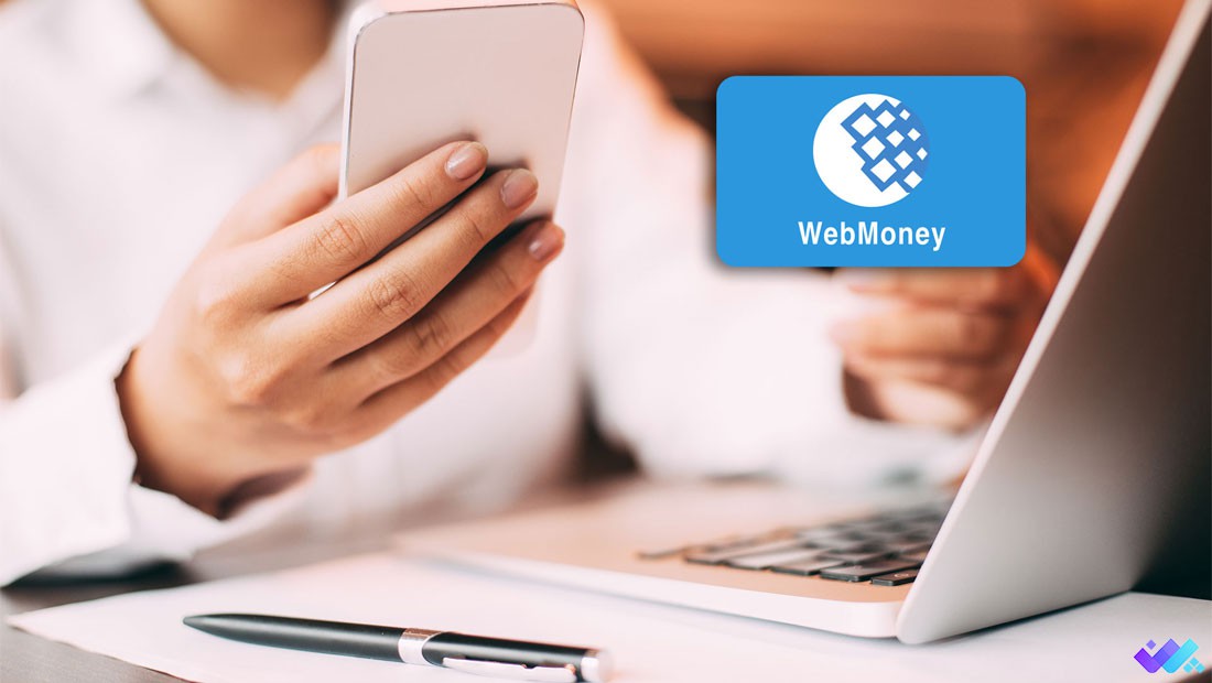 انواع پاسپورت وب مانی