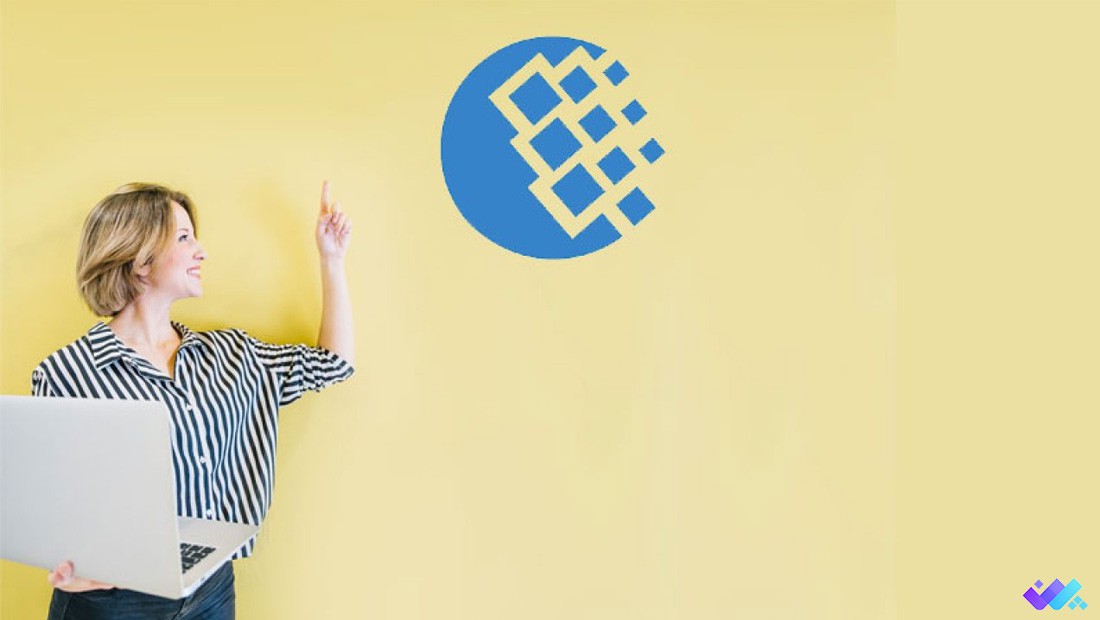 انواع پاسپورت وب مانی